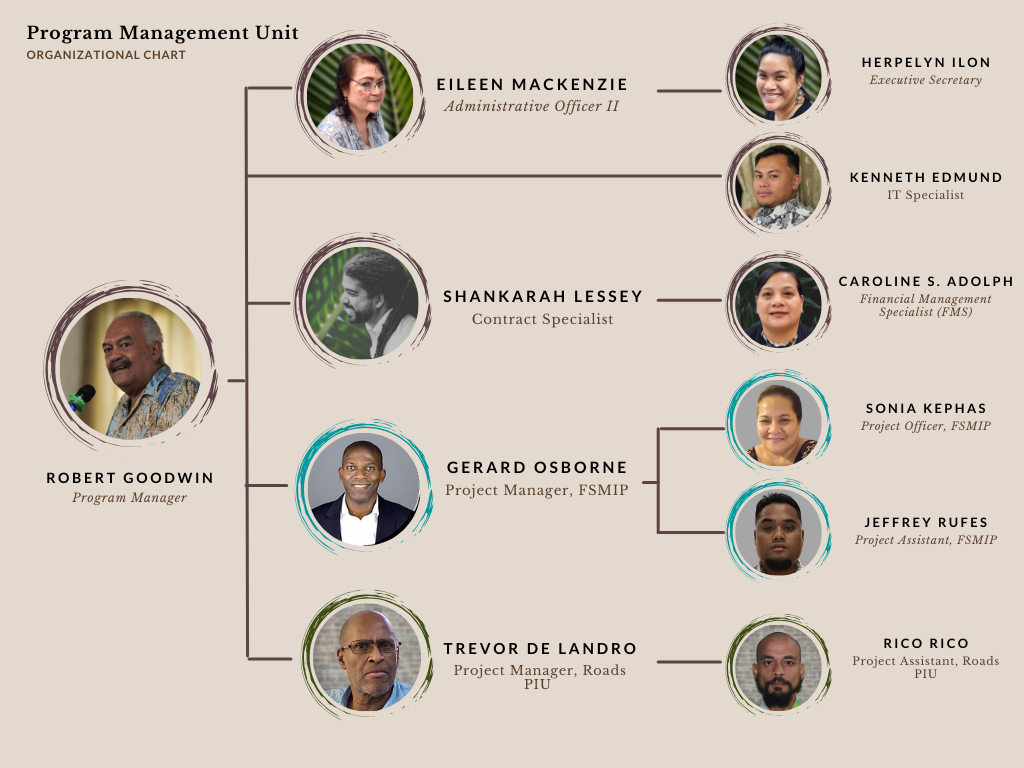 PMU Organizational Chart